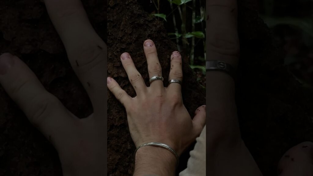 100 ant bites instead of 100 mosquito bites.Would you make that trade?